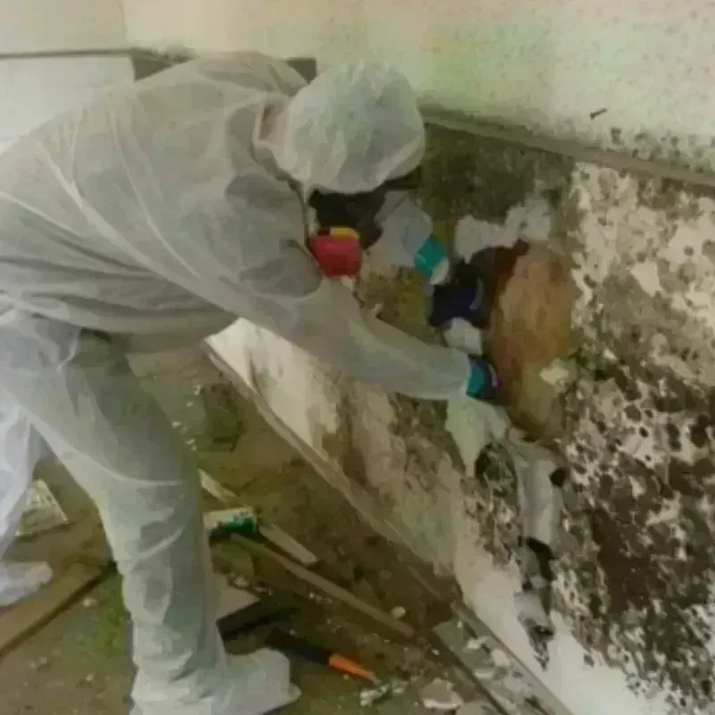 Mold Remediation and Removal in Lawrence County, SD