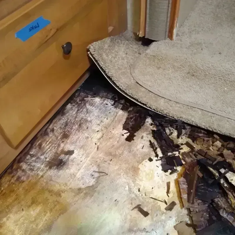 Wood Floor Water Damage in Lawrence County, SD